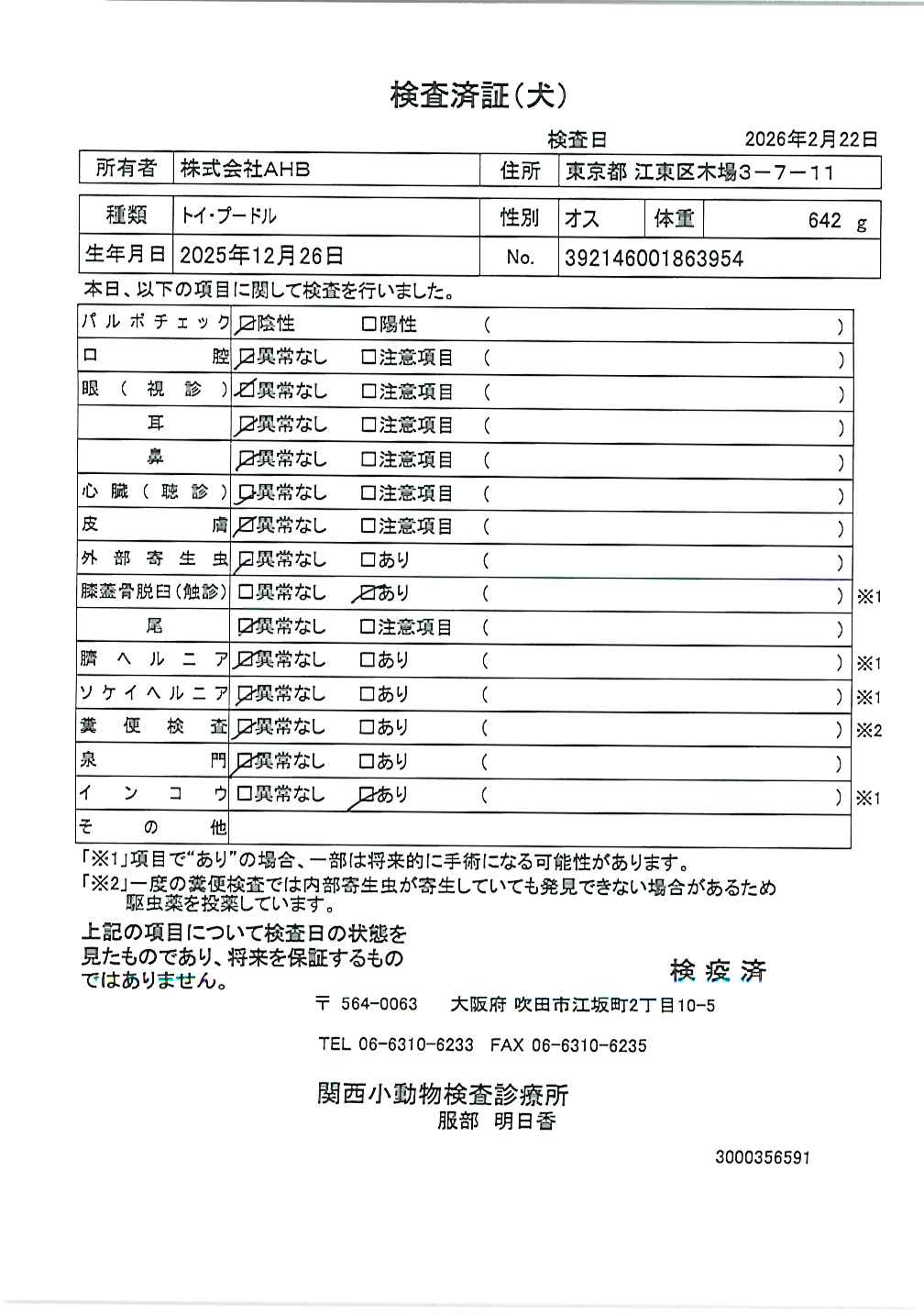 トイ・プードル