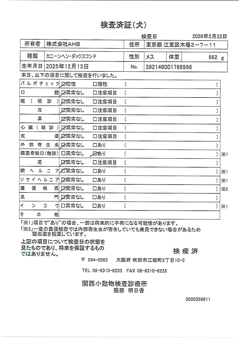 カニーンヘン・ダックスフンド