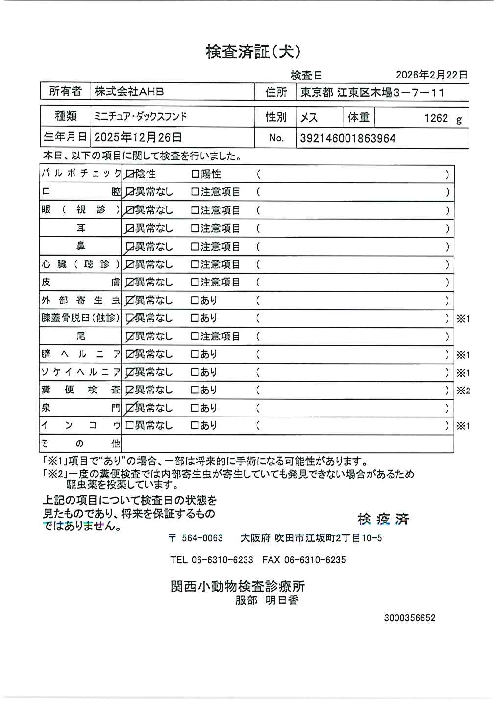 ミニチュア・ダックスフンド