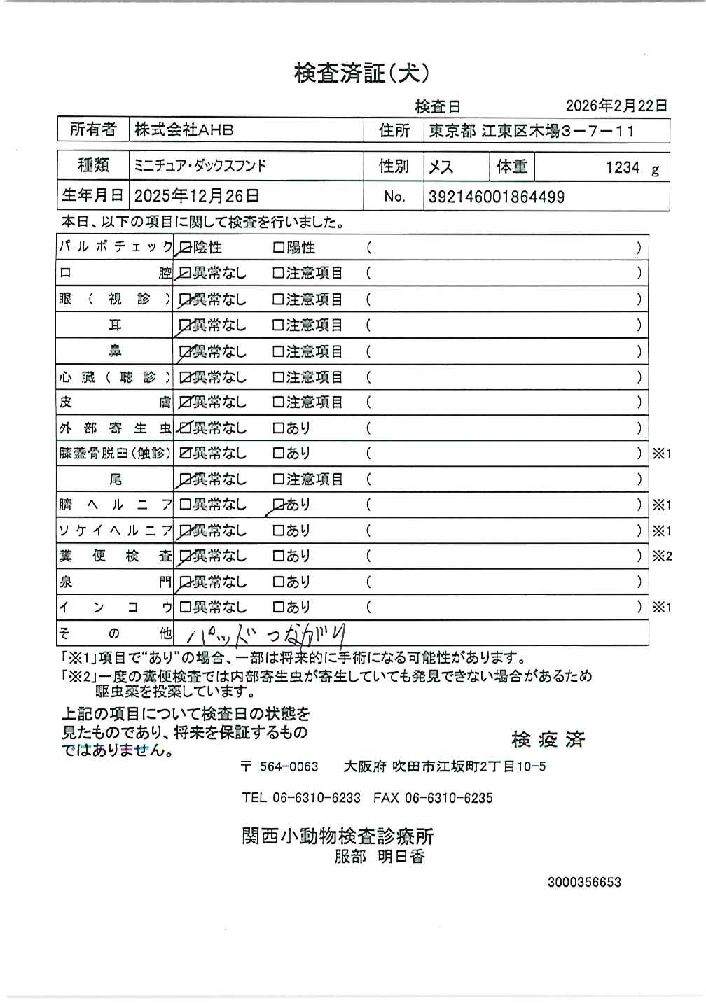 ミニチュア・ダックスフンド