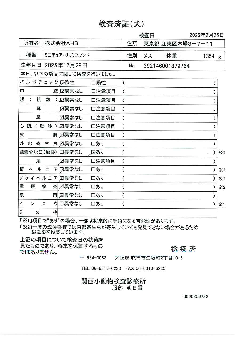 ミニチュア・ダックスフンド