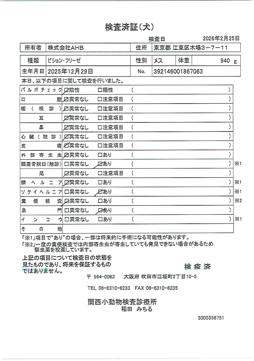 ビション・フリーゼ
