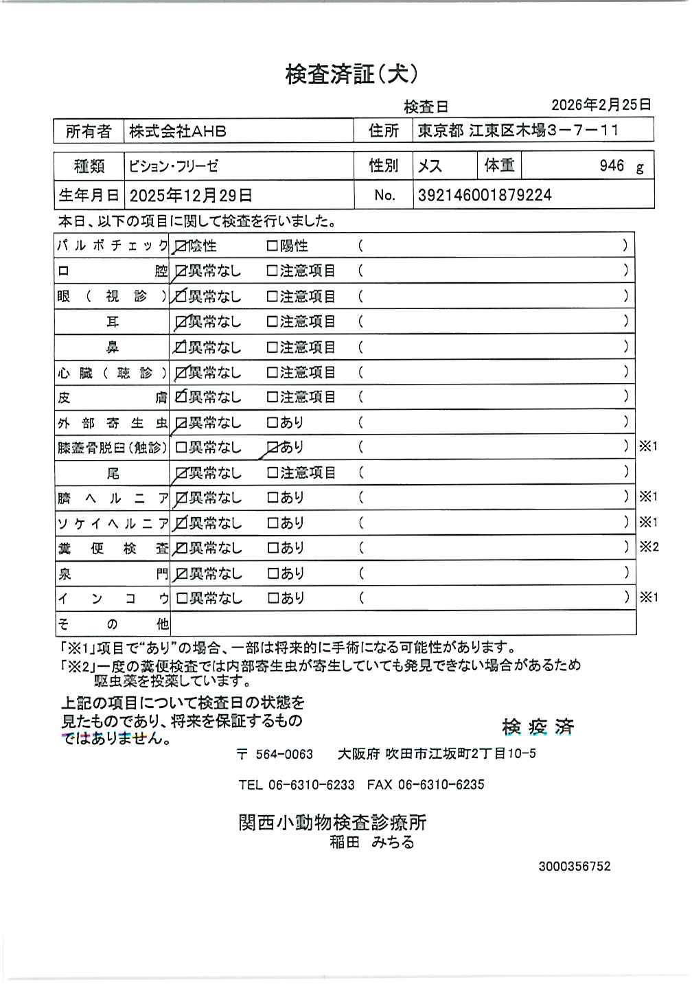 ビション・フリーゼ
