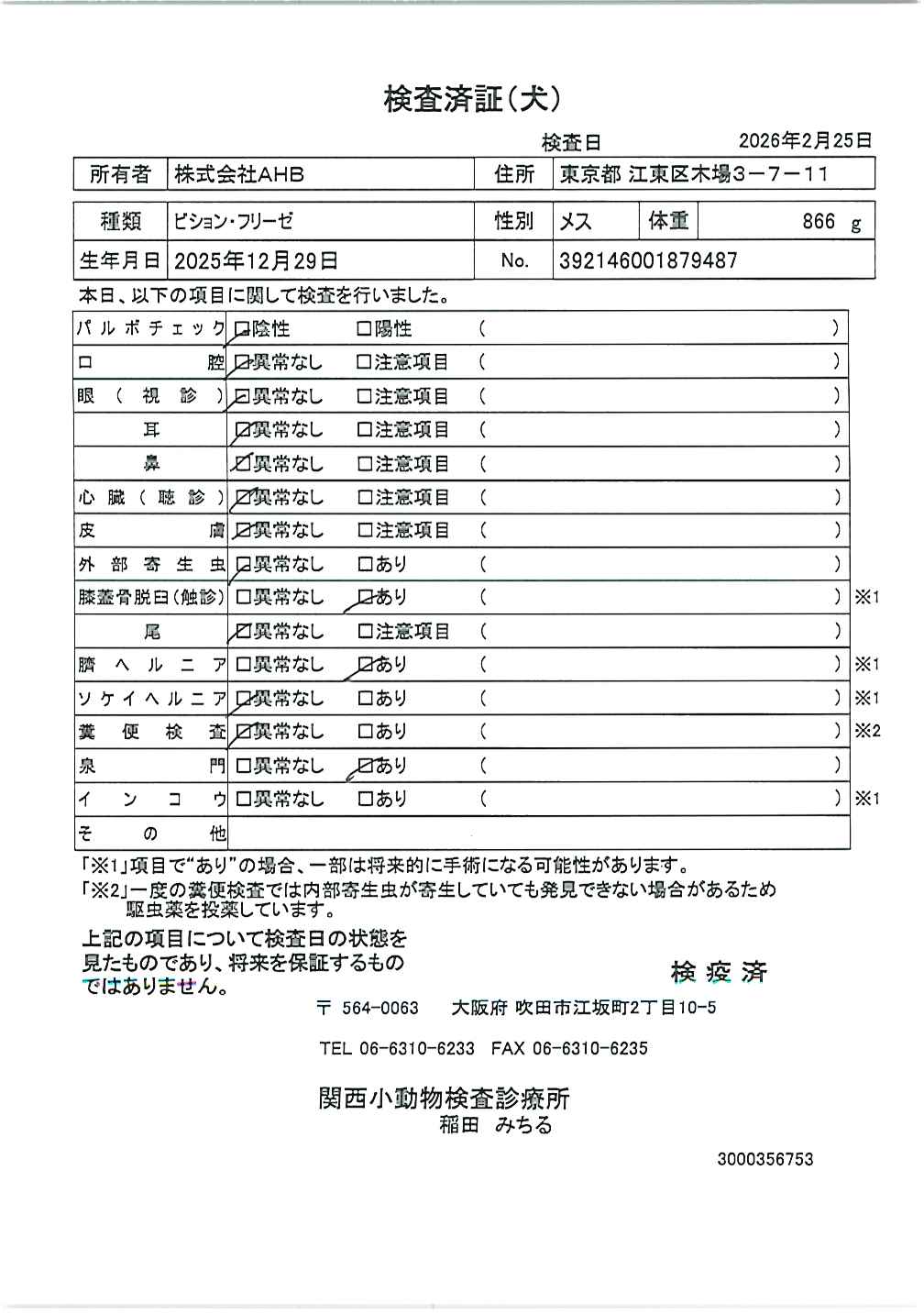 ビション・フリーゼ