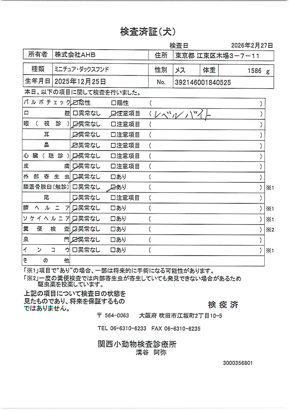 ミニチュア・ダックスフンド