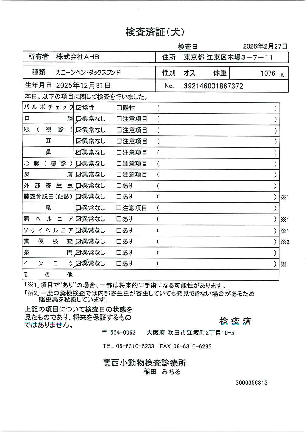 カニーンヘン・ダックスフンド