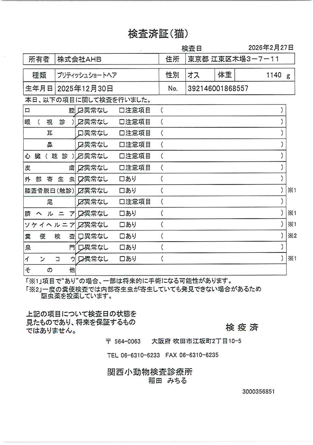 ブリティッシュショートヘア