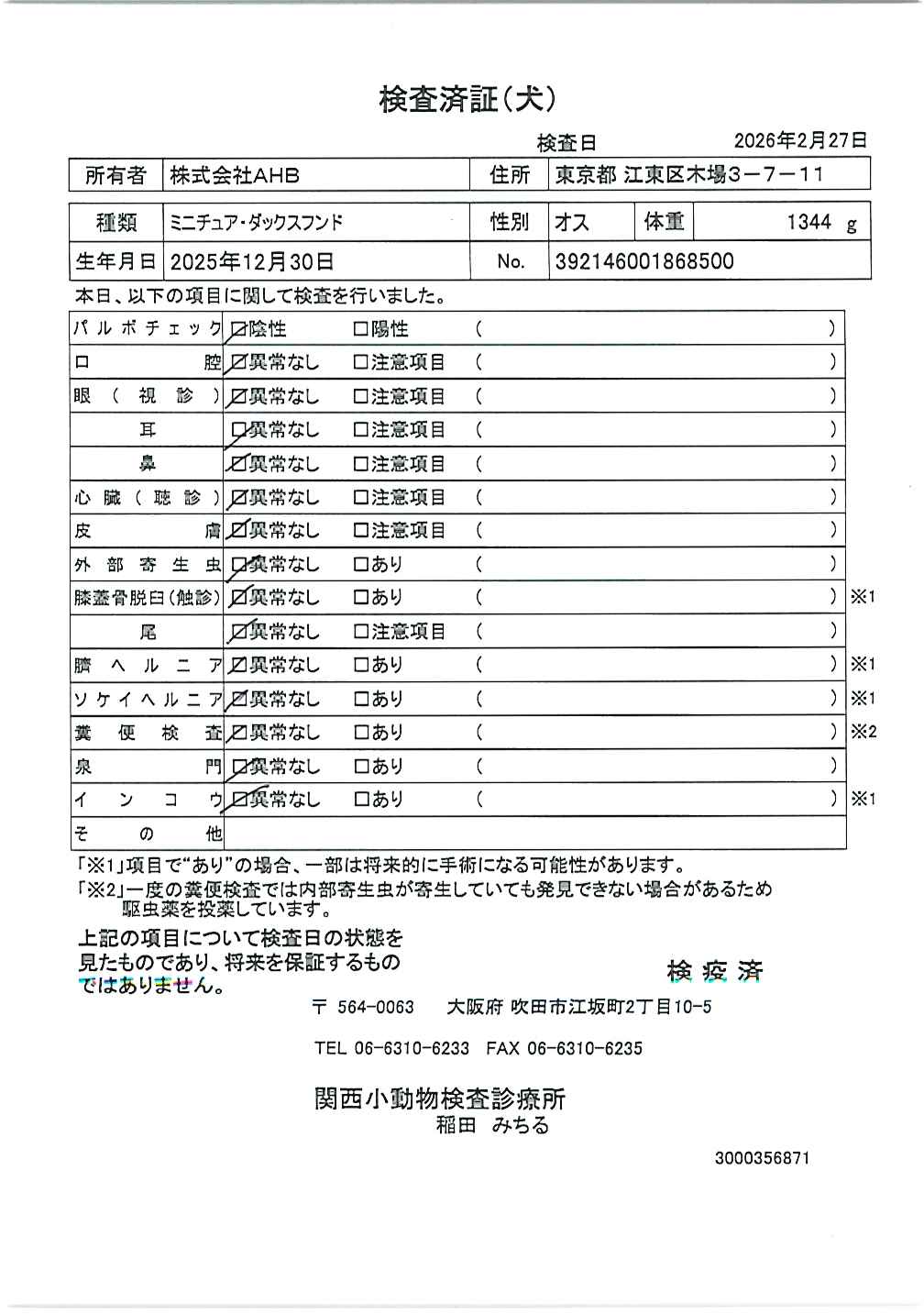 ミニチュア・ダックスフンド