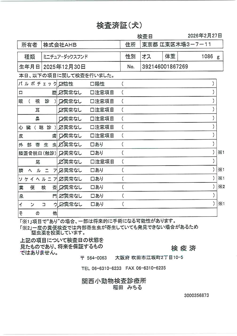 ミニチュア・ダックスフンド