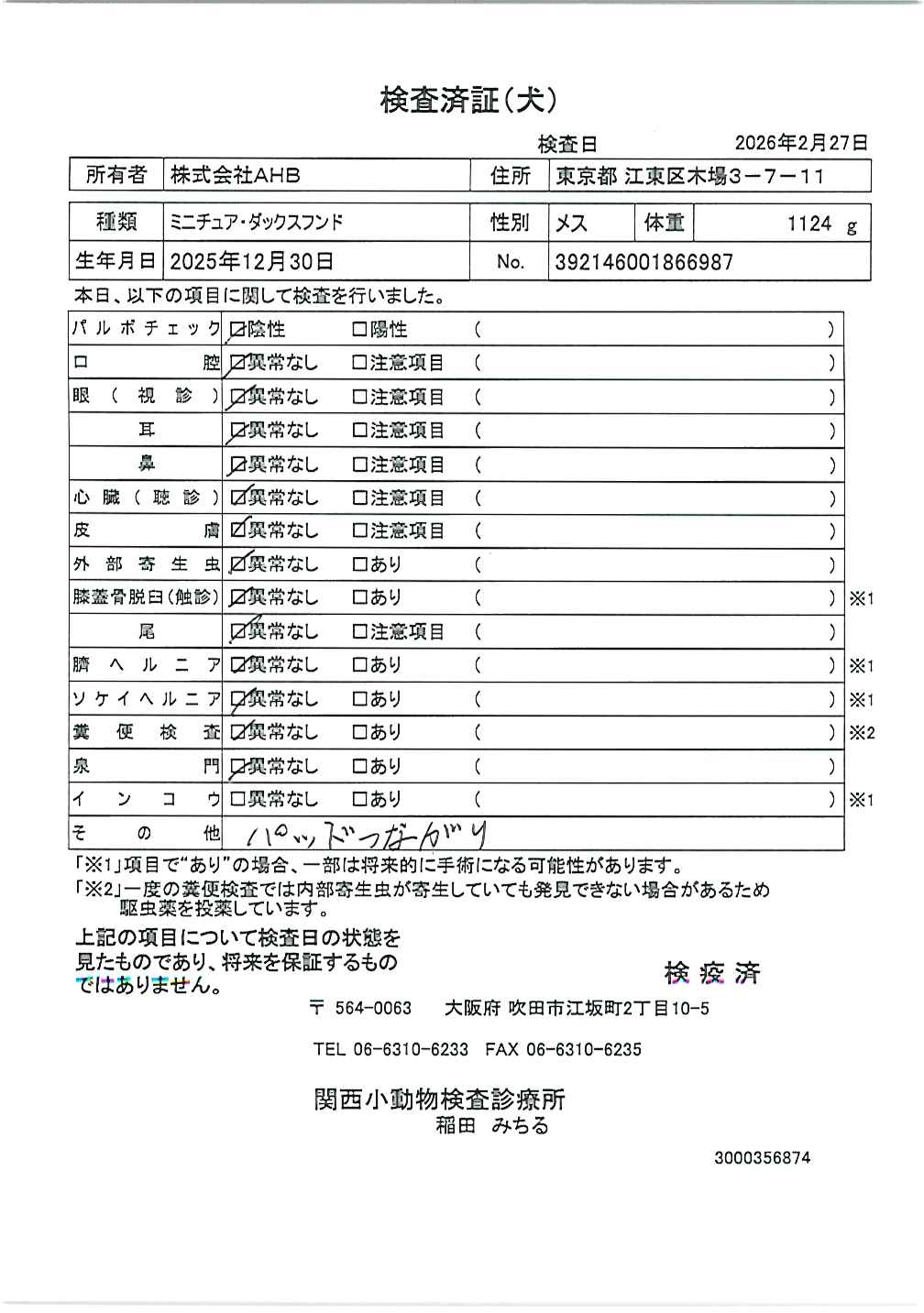 ミニチュア・ダックスフンド