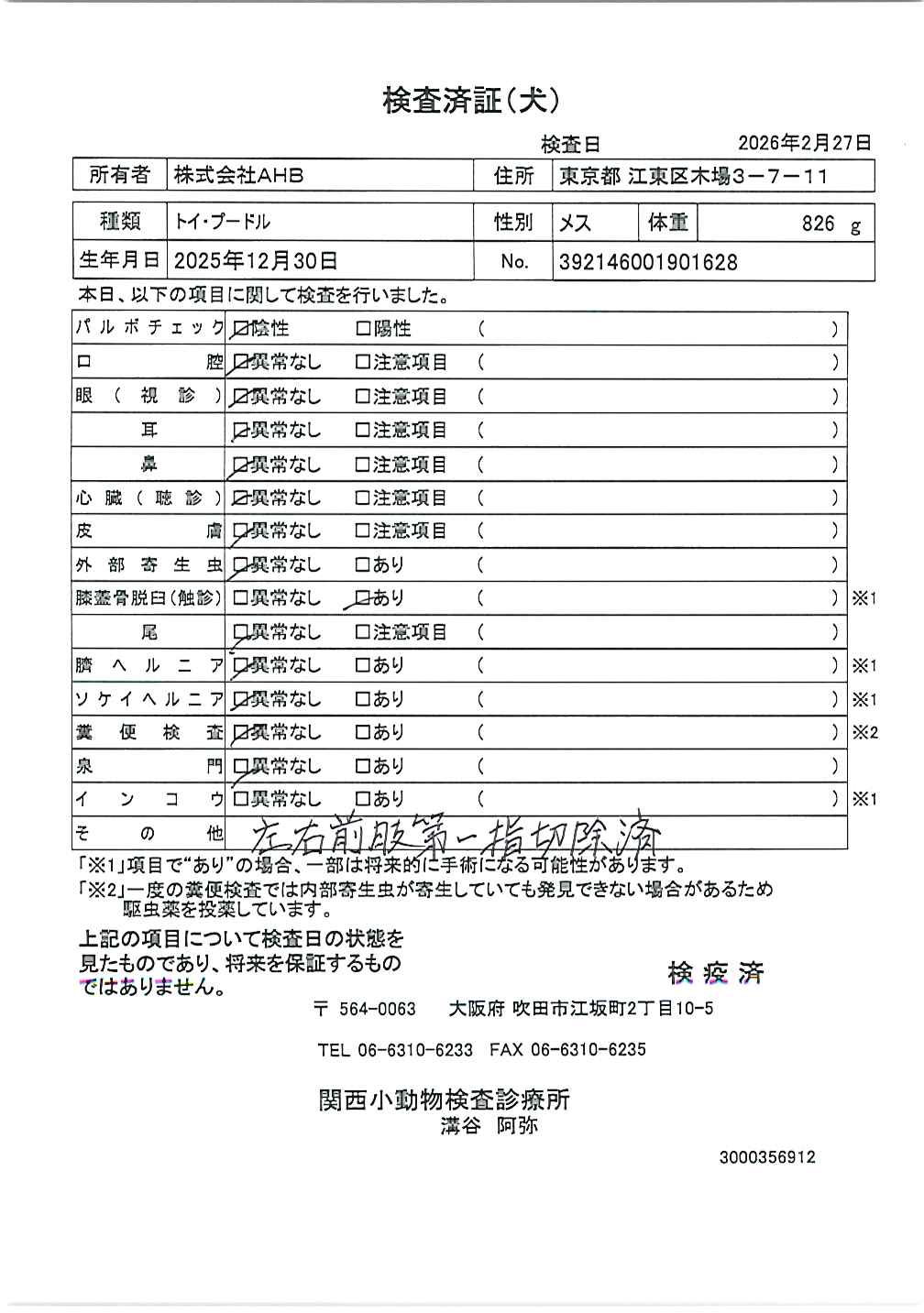 トイ・プードル