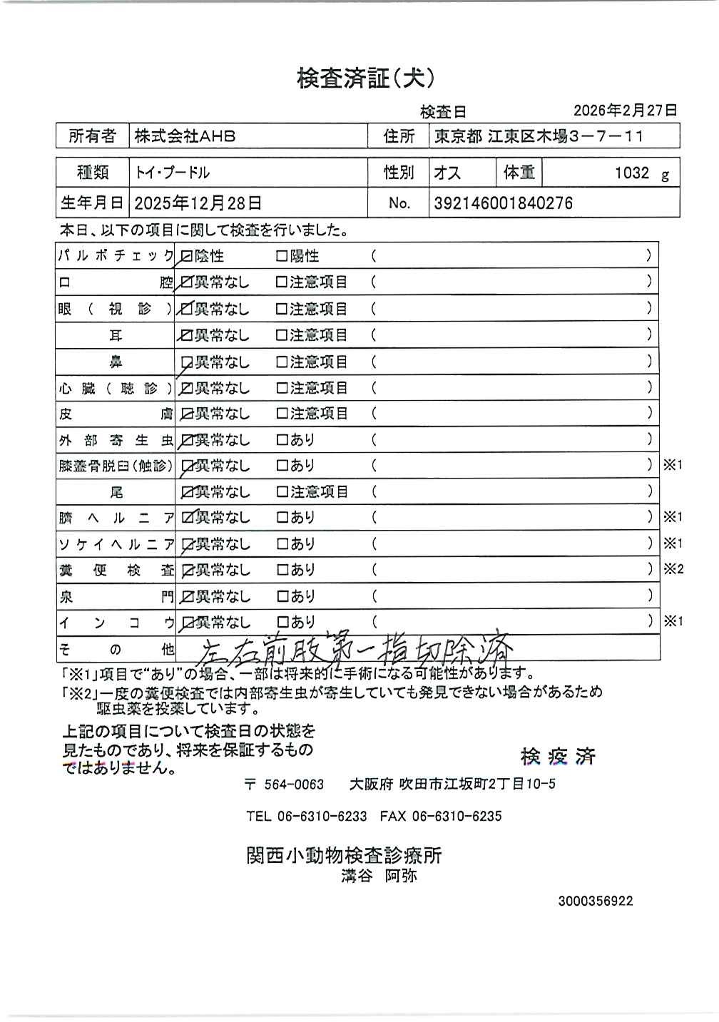 トイ・プードル