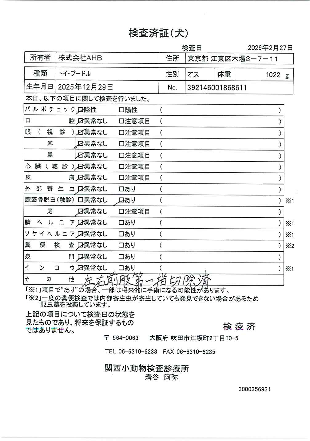 トイ・プードル
