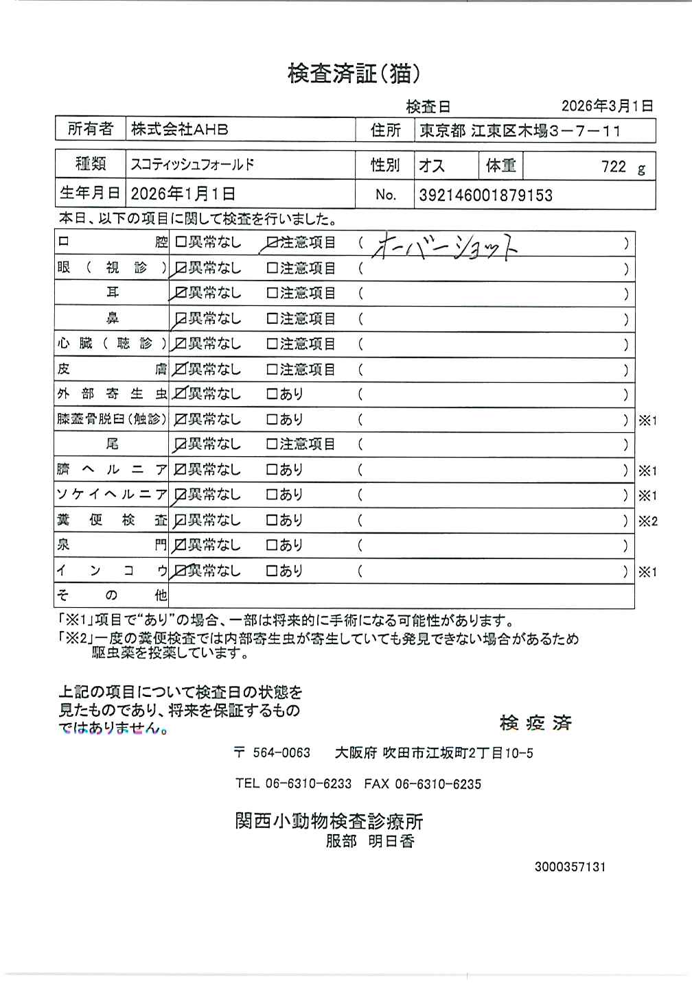 スコティッシュフォールド