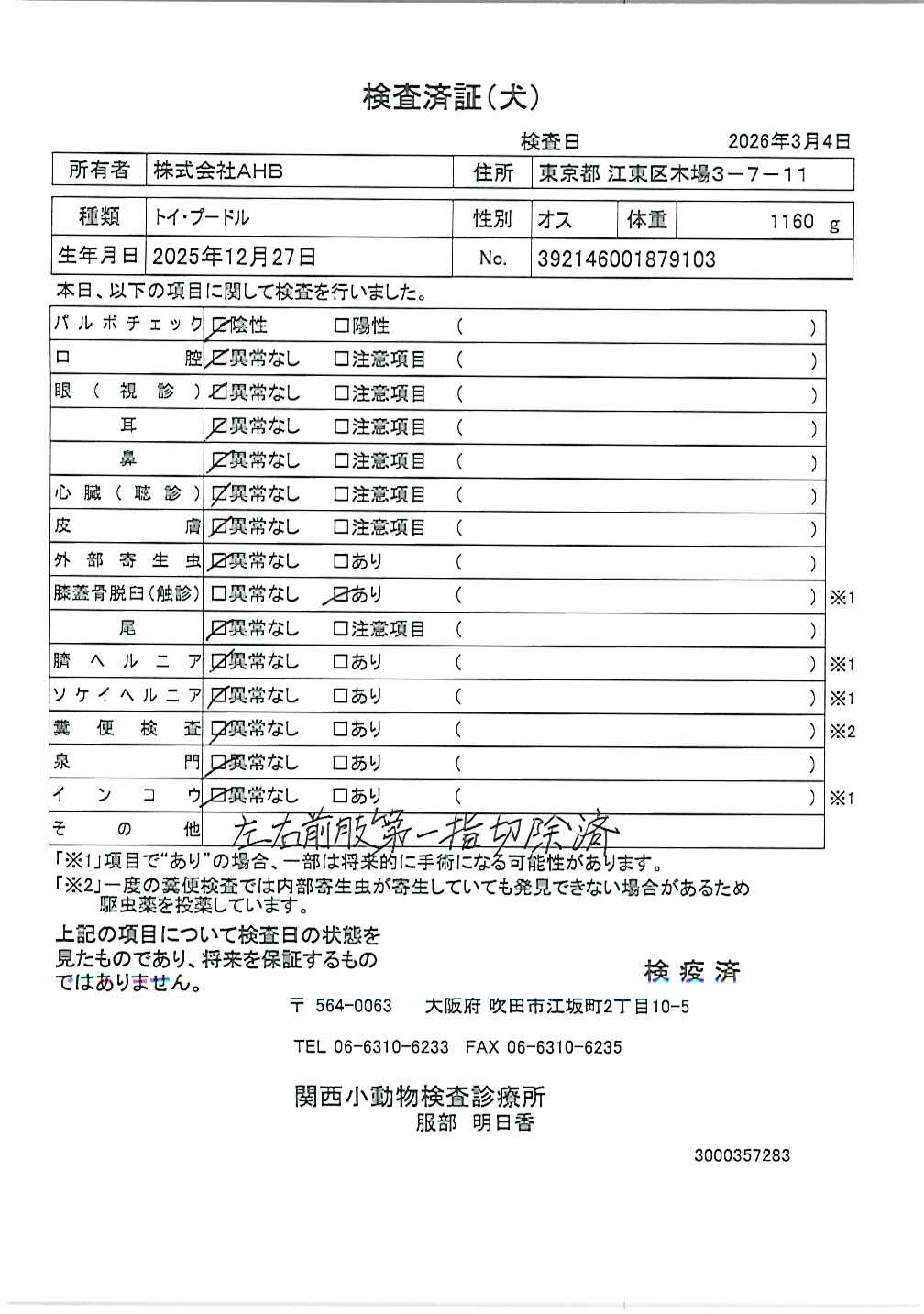 トイ・プードル