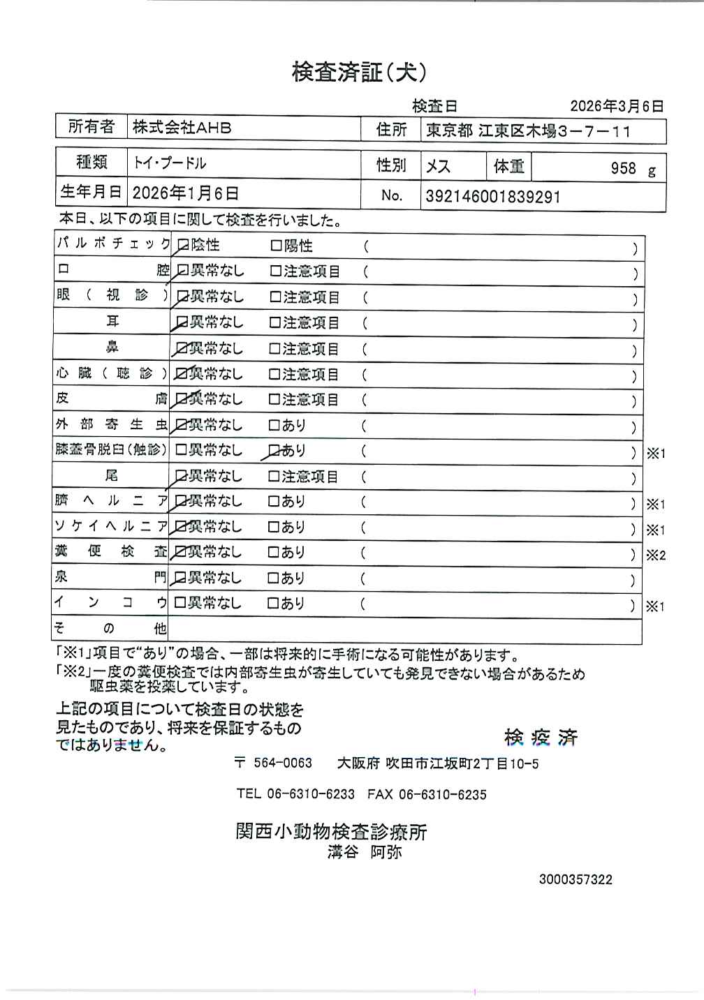トイ・プードル