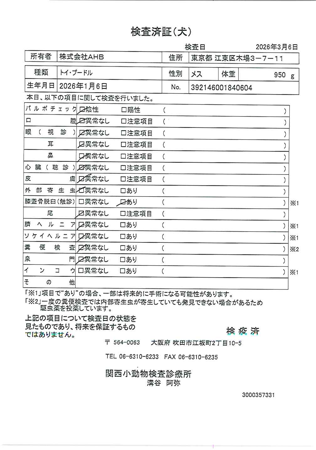 トイ・プードル