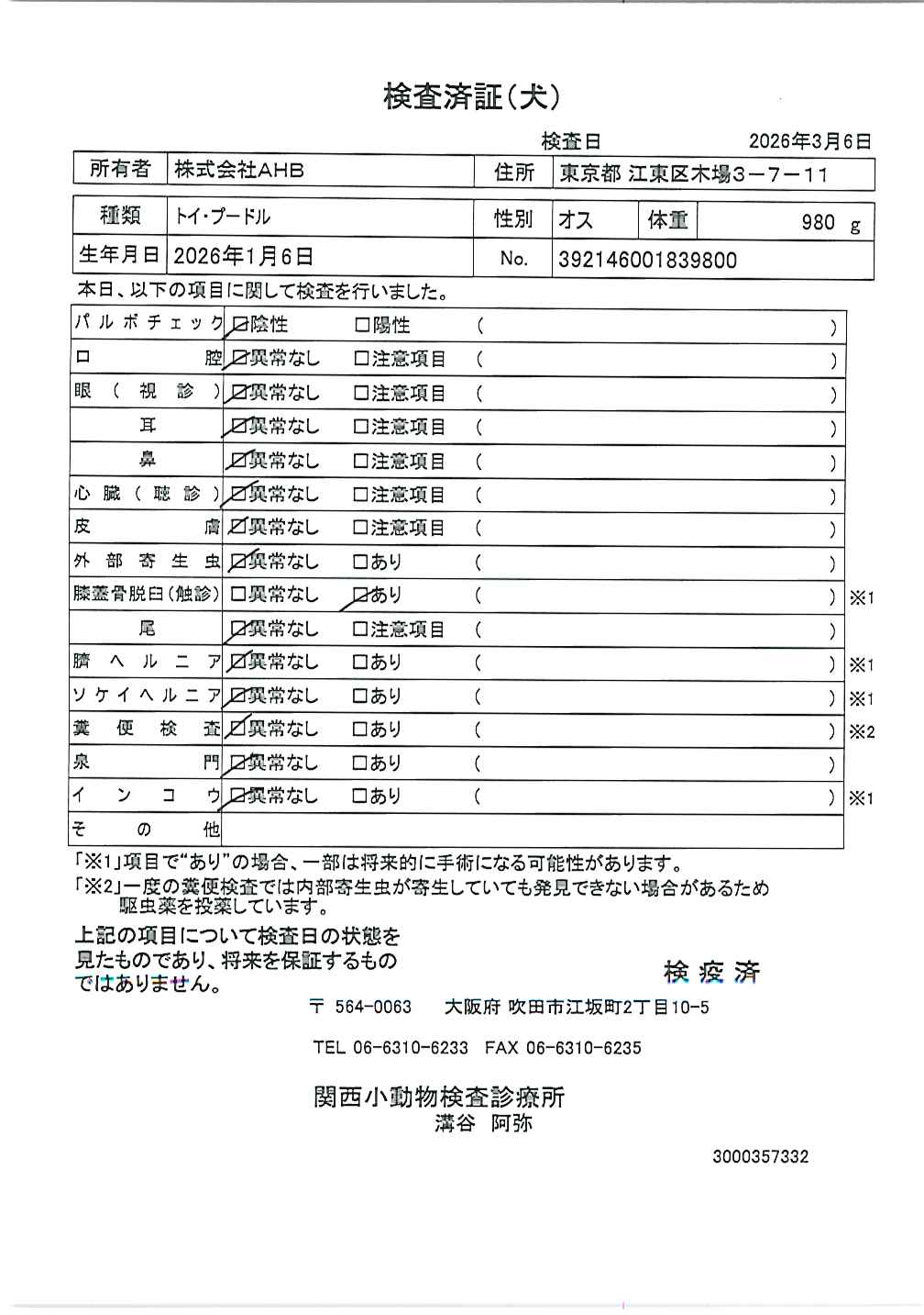 トイ・プードル