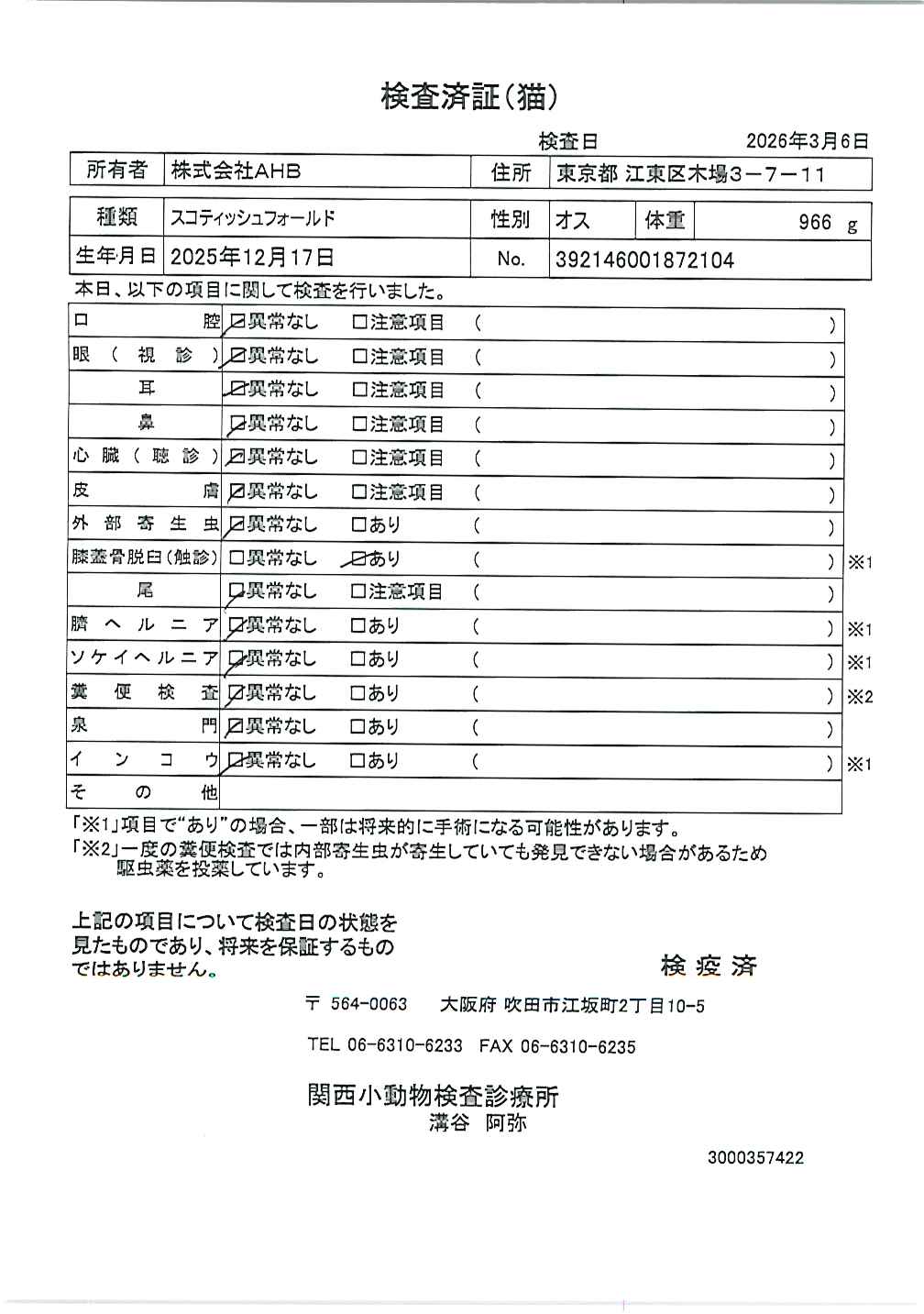 スコティッシュフォールド