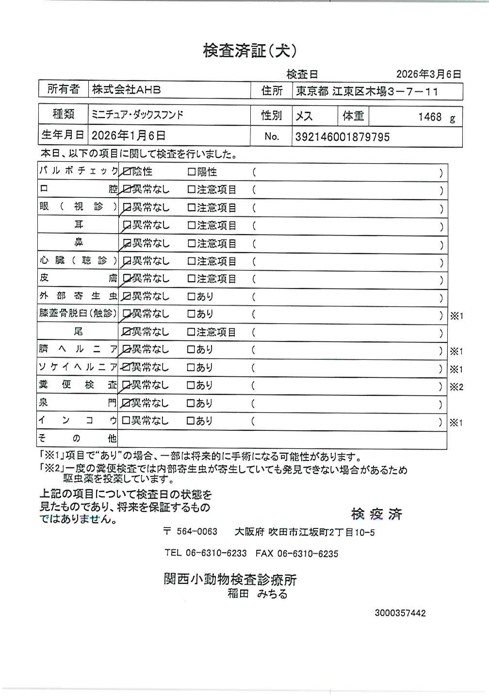 ミニチュア・ダックスフンド