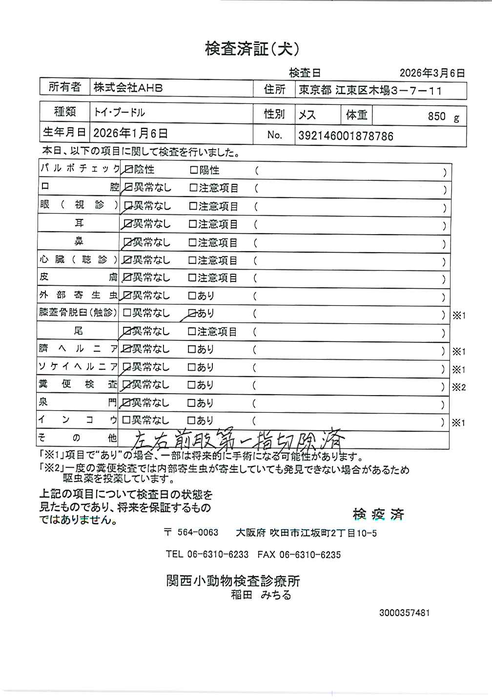 トイ・プードル