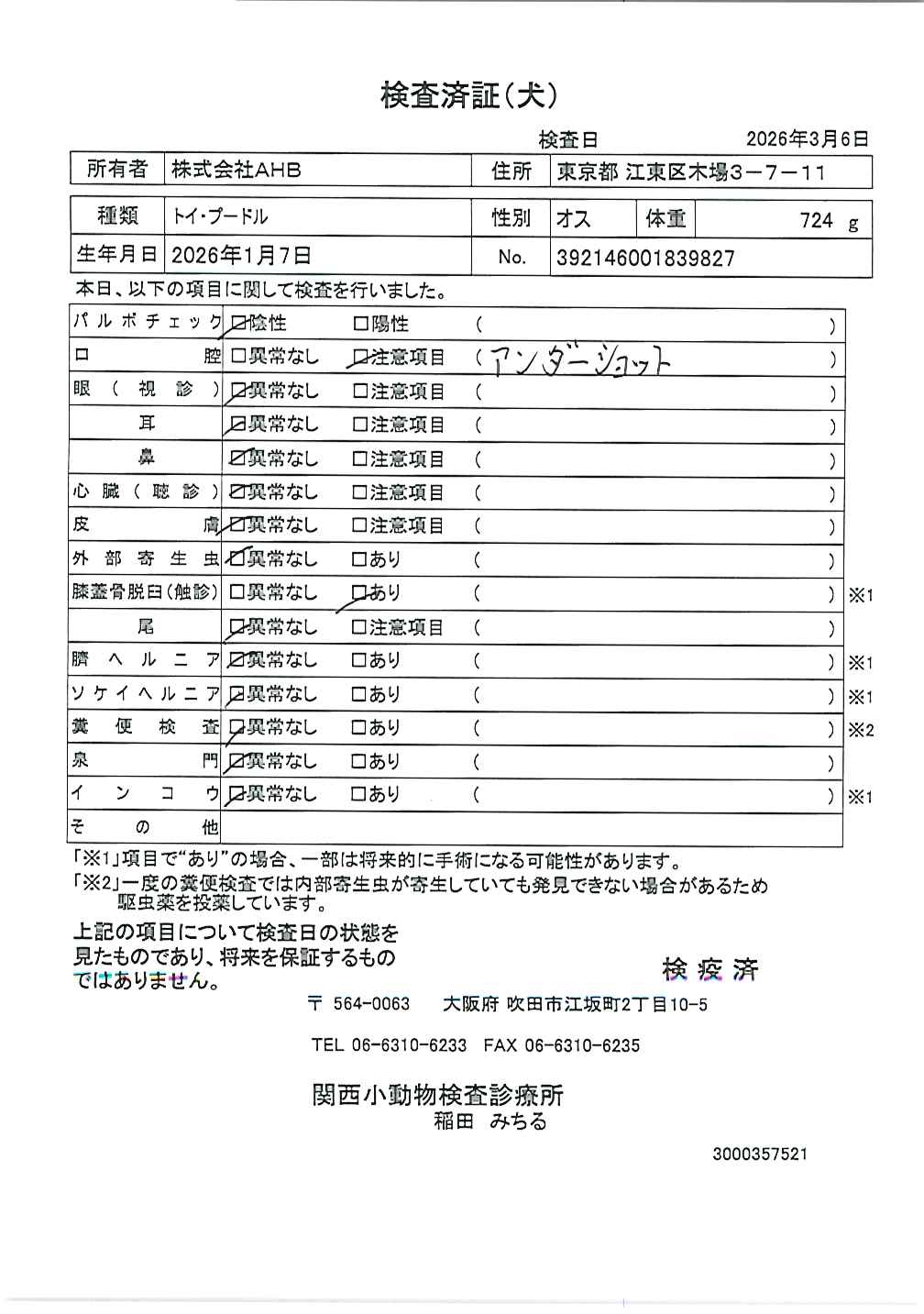 トイ・プードル