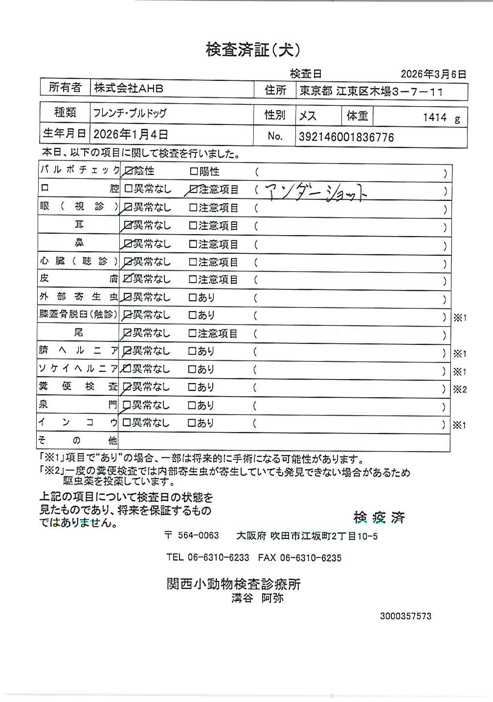 フレンチ・ブルドッグ
