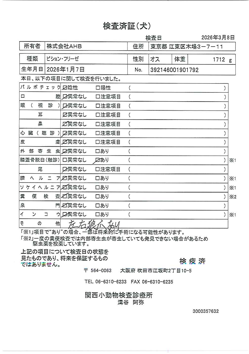 ビション・フリーゼ