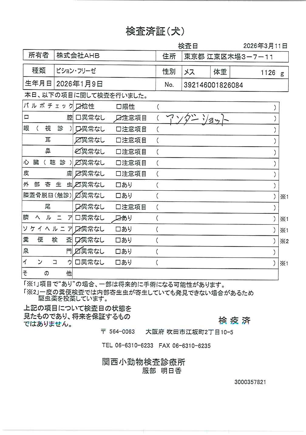 ビション・フリーゼ