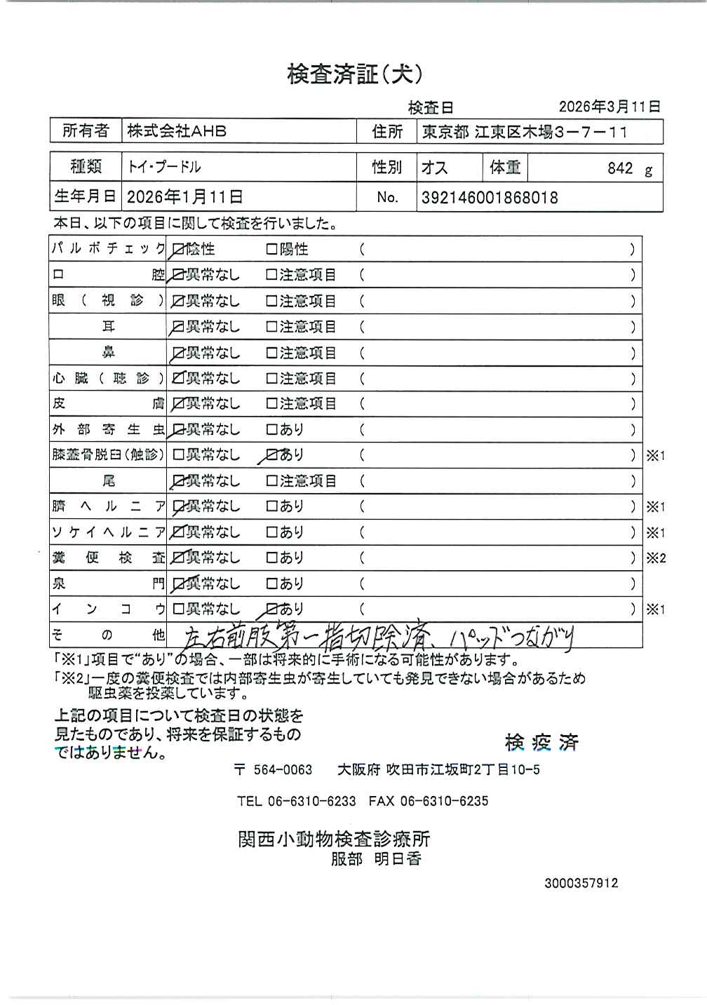 トイ・プードル
