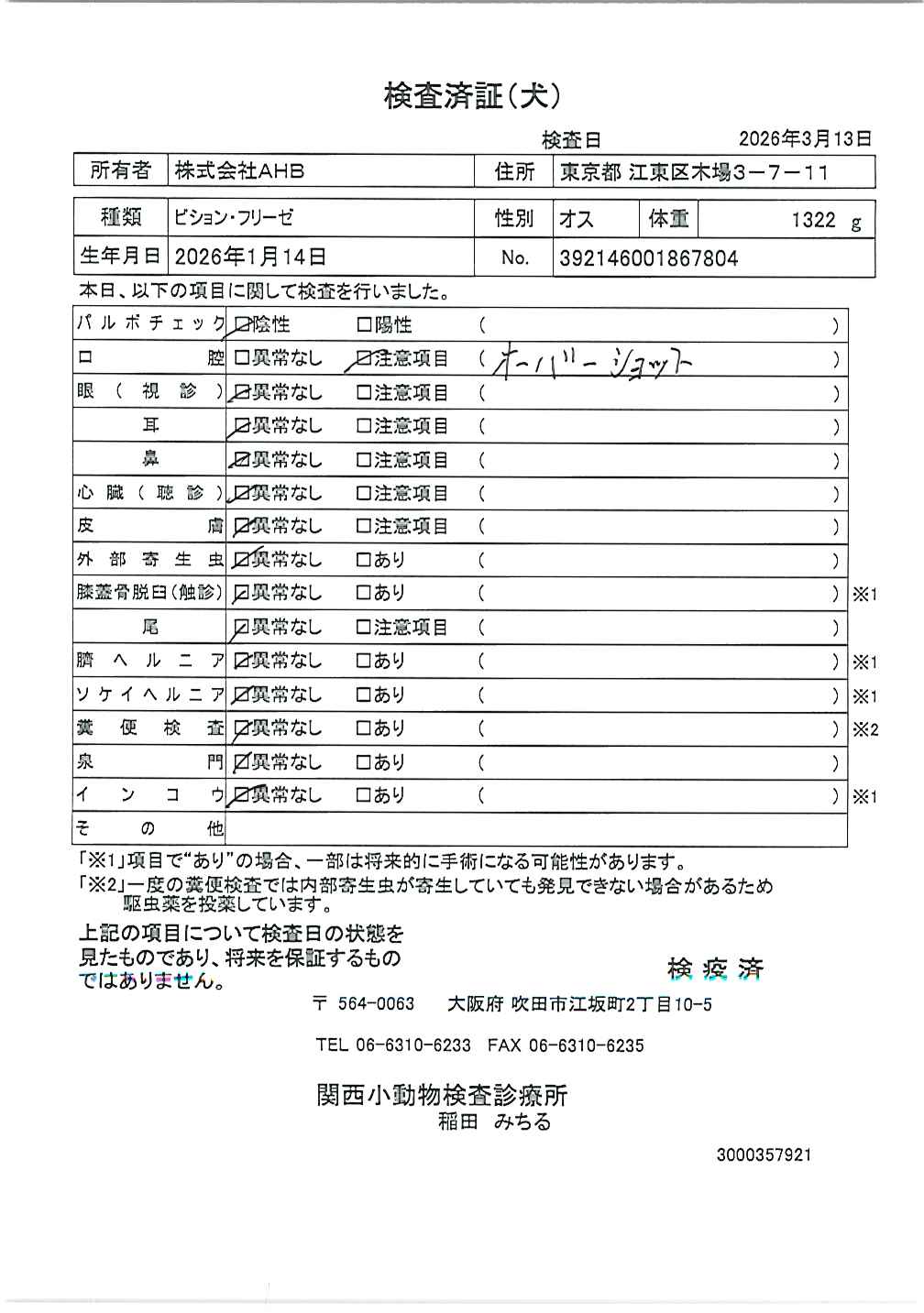 ビション・フリーゼ