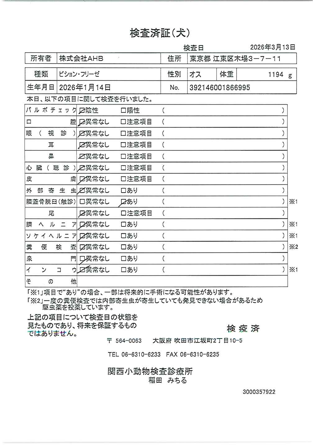 ビション・フリーゼ