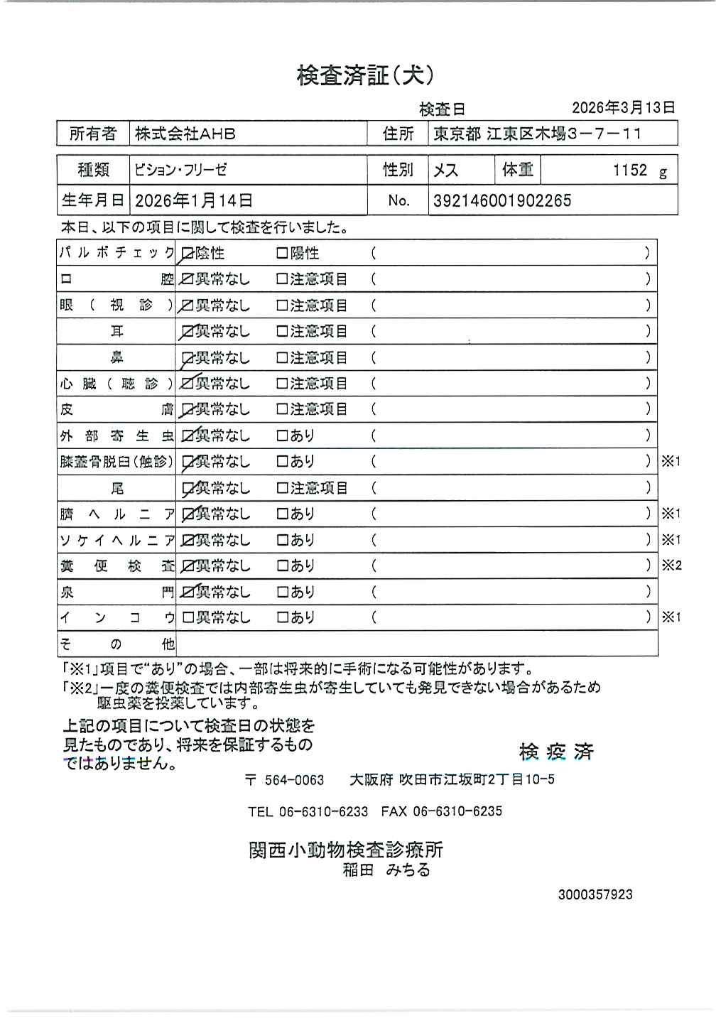 ビション・フリーゼ
