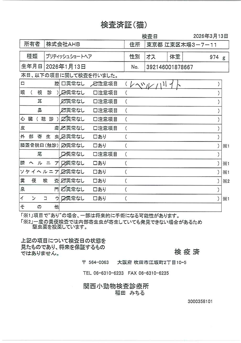 ブリティッシュショートヘア