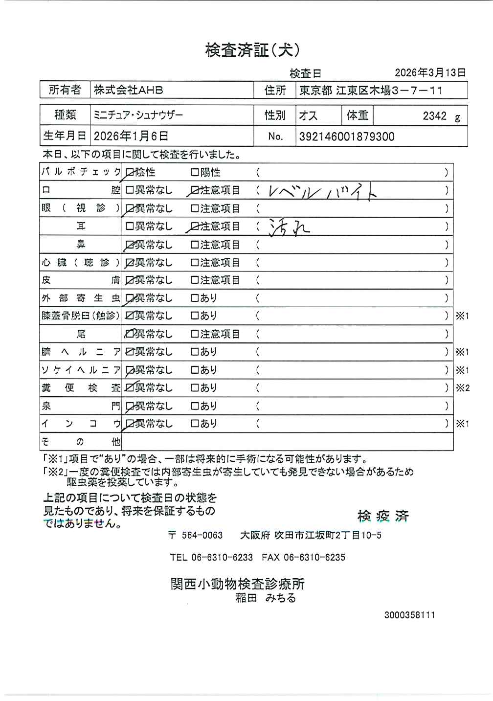 ミニチュア・シュナウザー