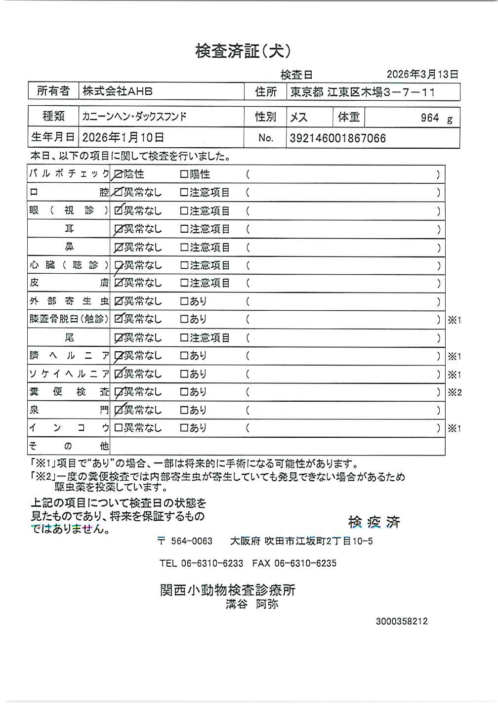 カニーンヘン・ダックスフンド