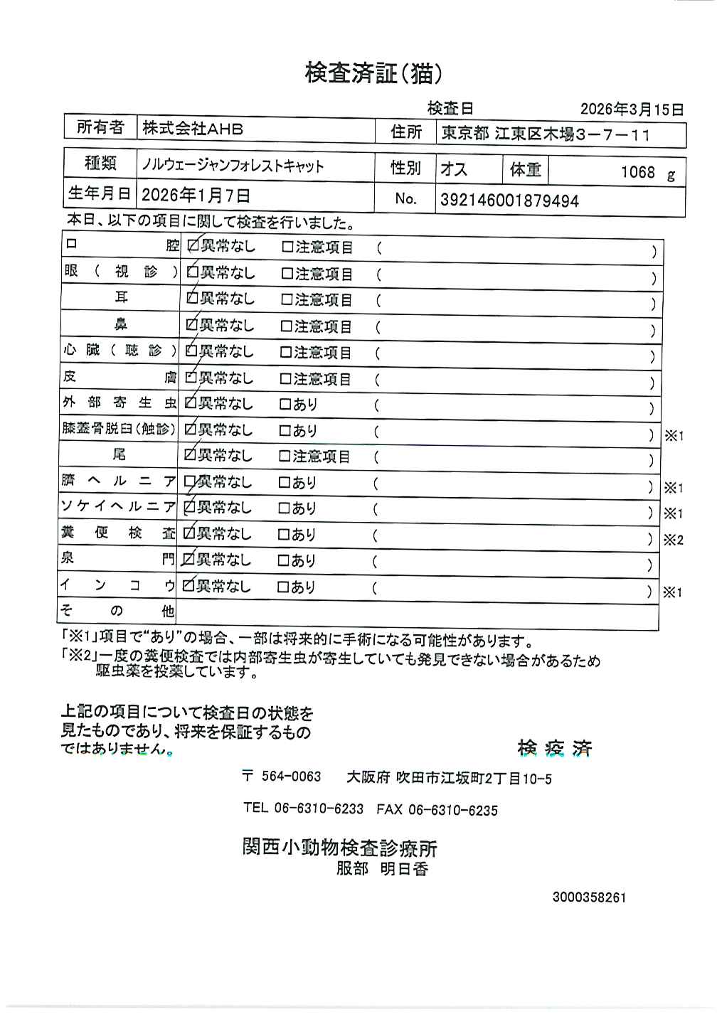 ノルウェージャンフォレストキャット