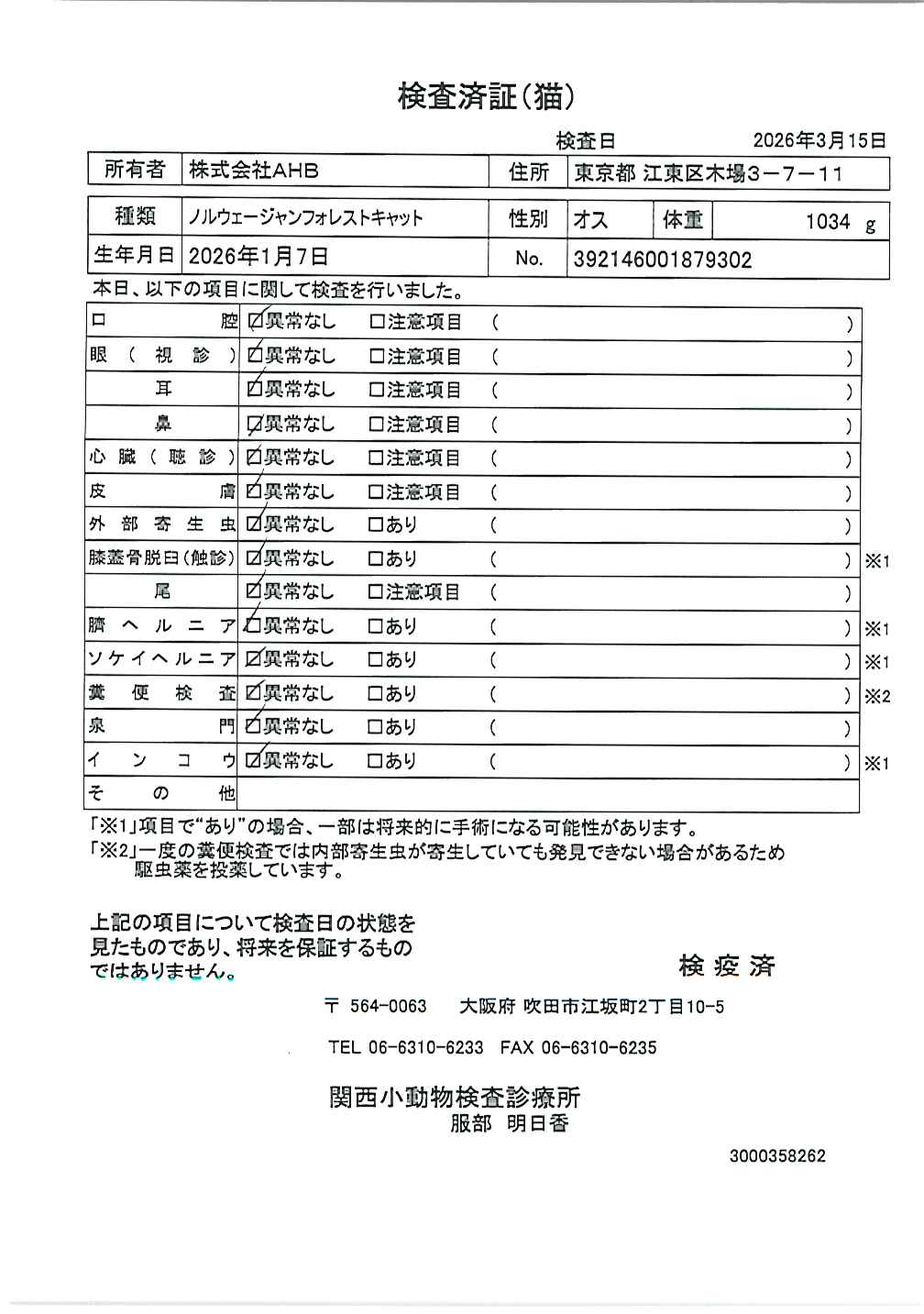 ノルウェージャンフォレストキャット