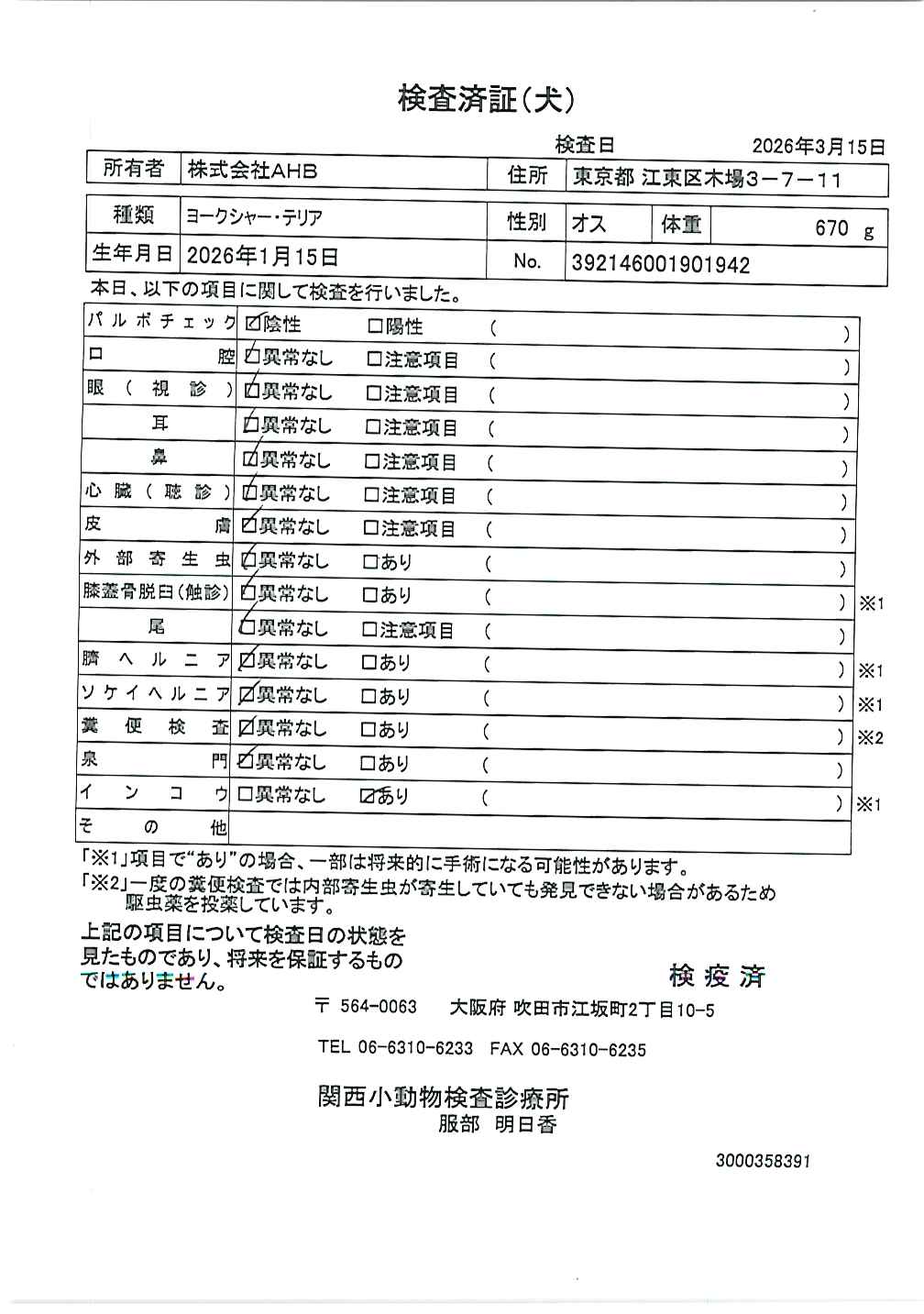 ヨークシャー・テリア