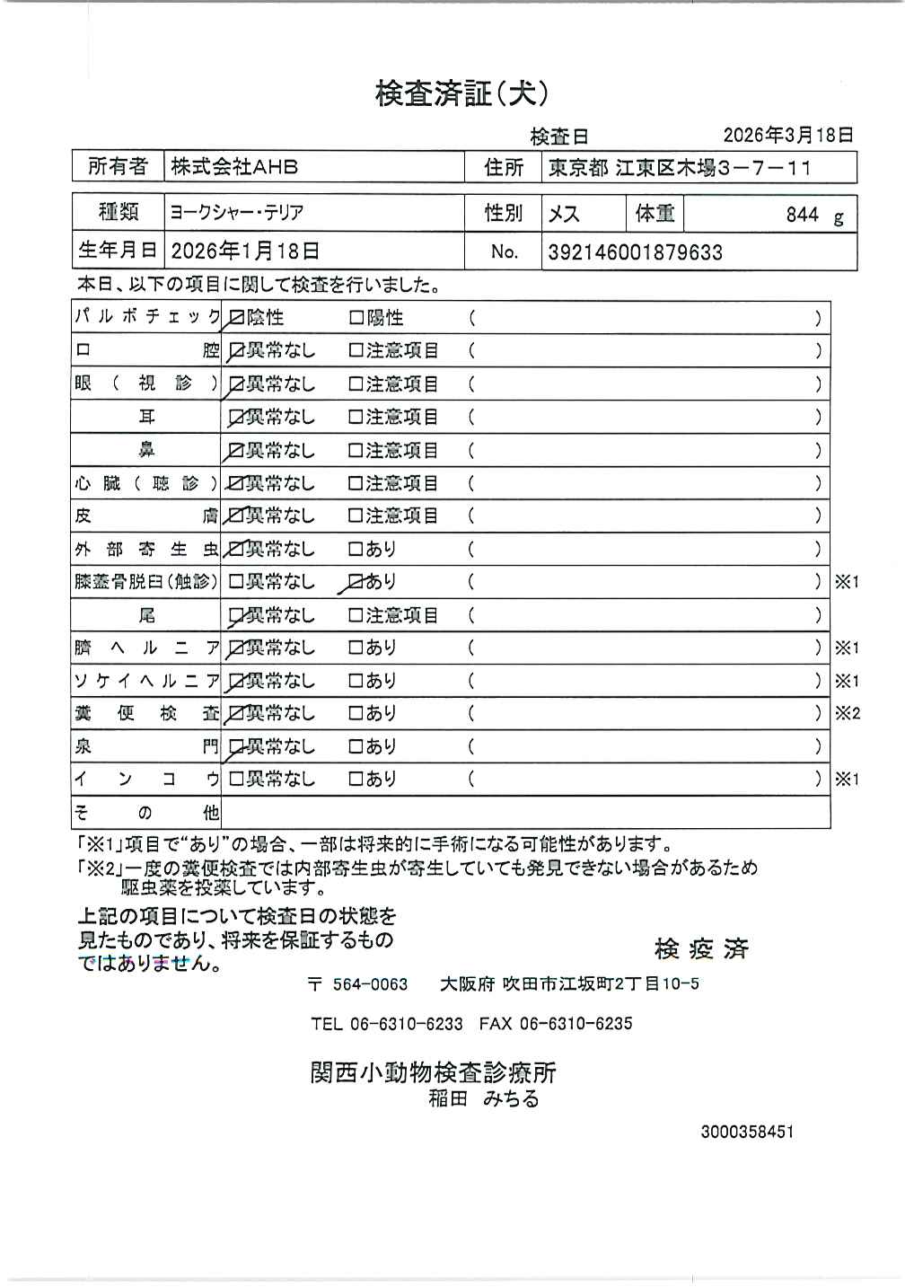 ヨークシャー・テリア