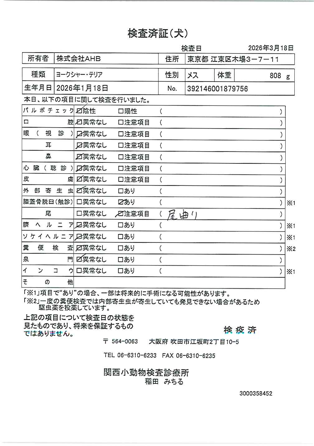 ヨークシャー・テリア
