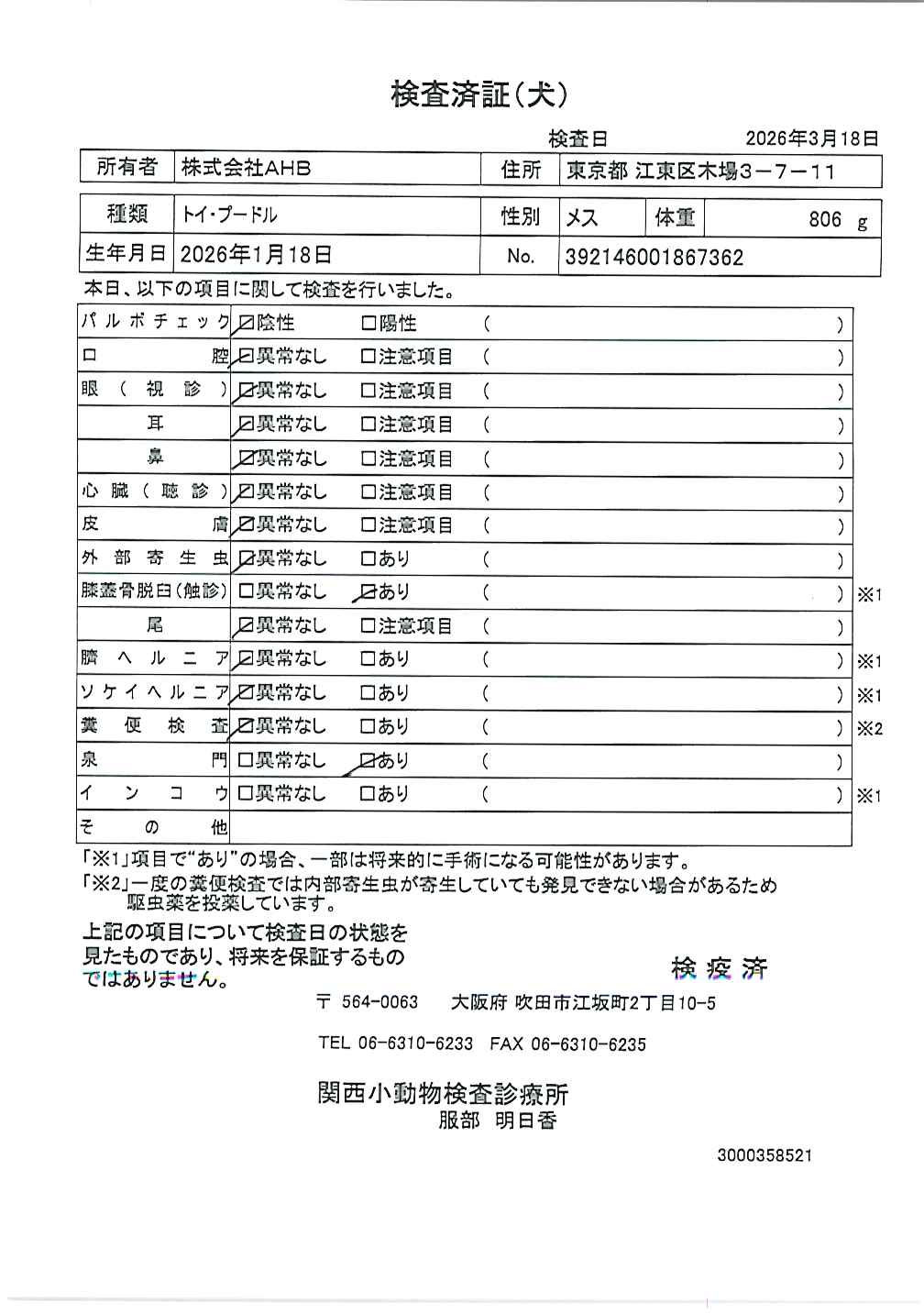 トイ・プードル