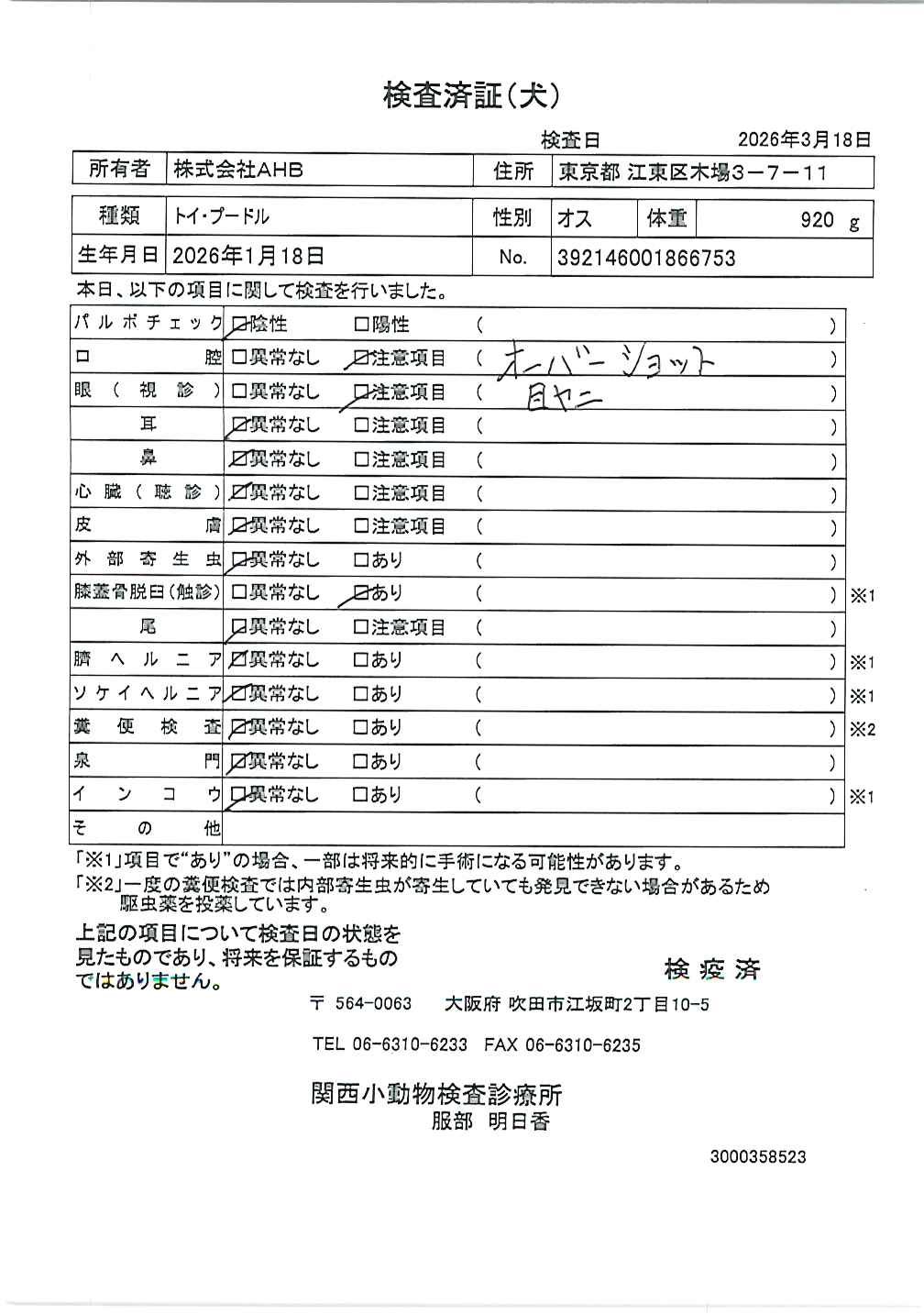 トイ・プードル