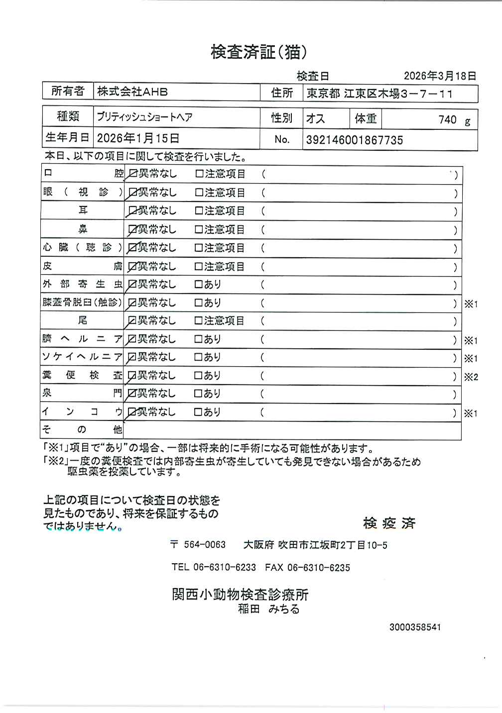 ブリティッシュショートヘア