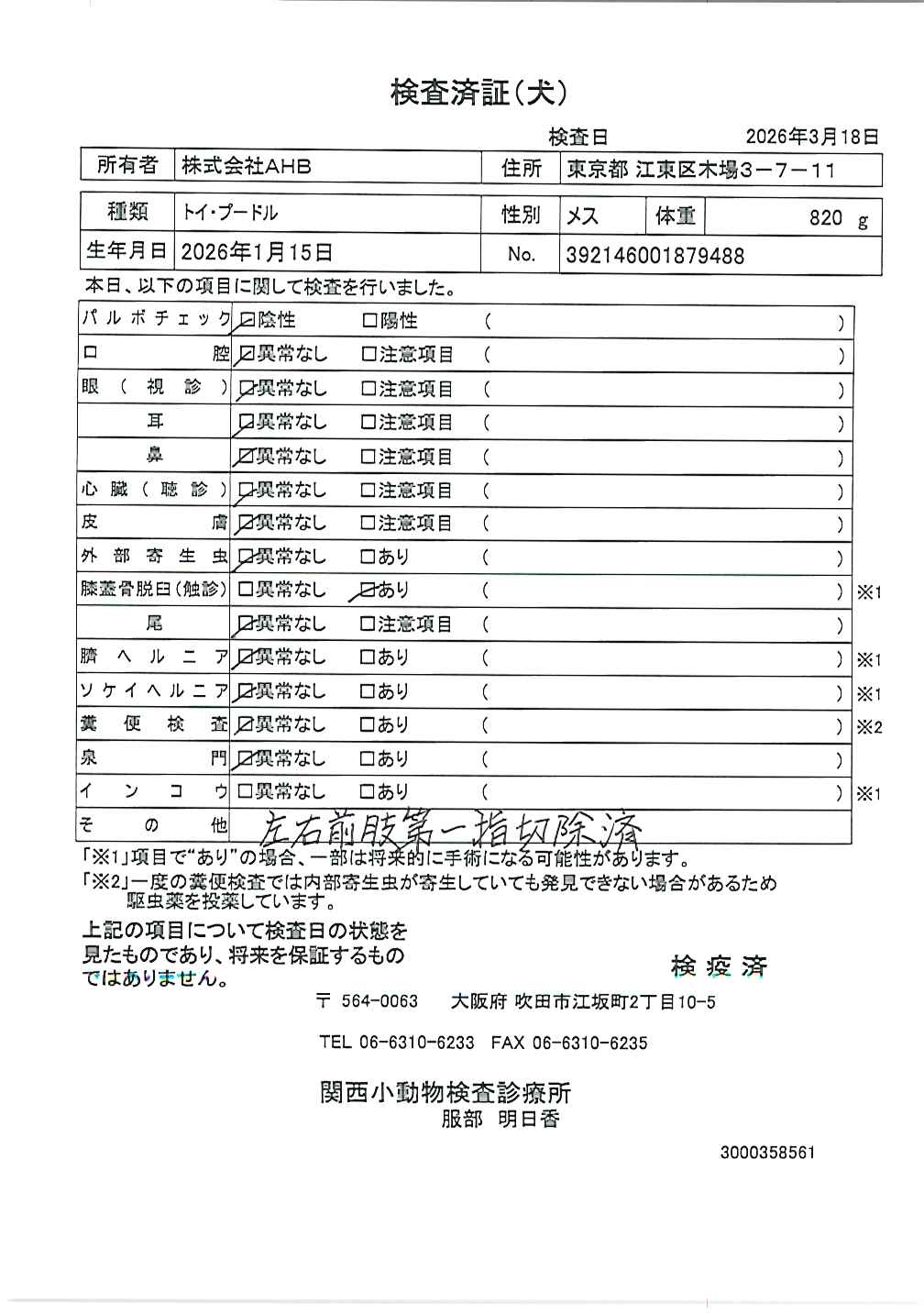 トイ・プードル