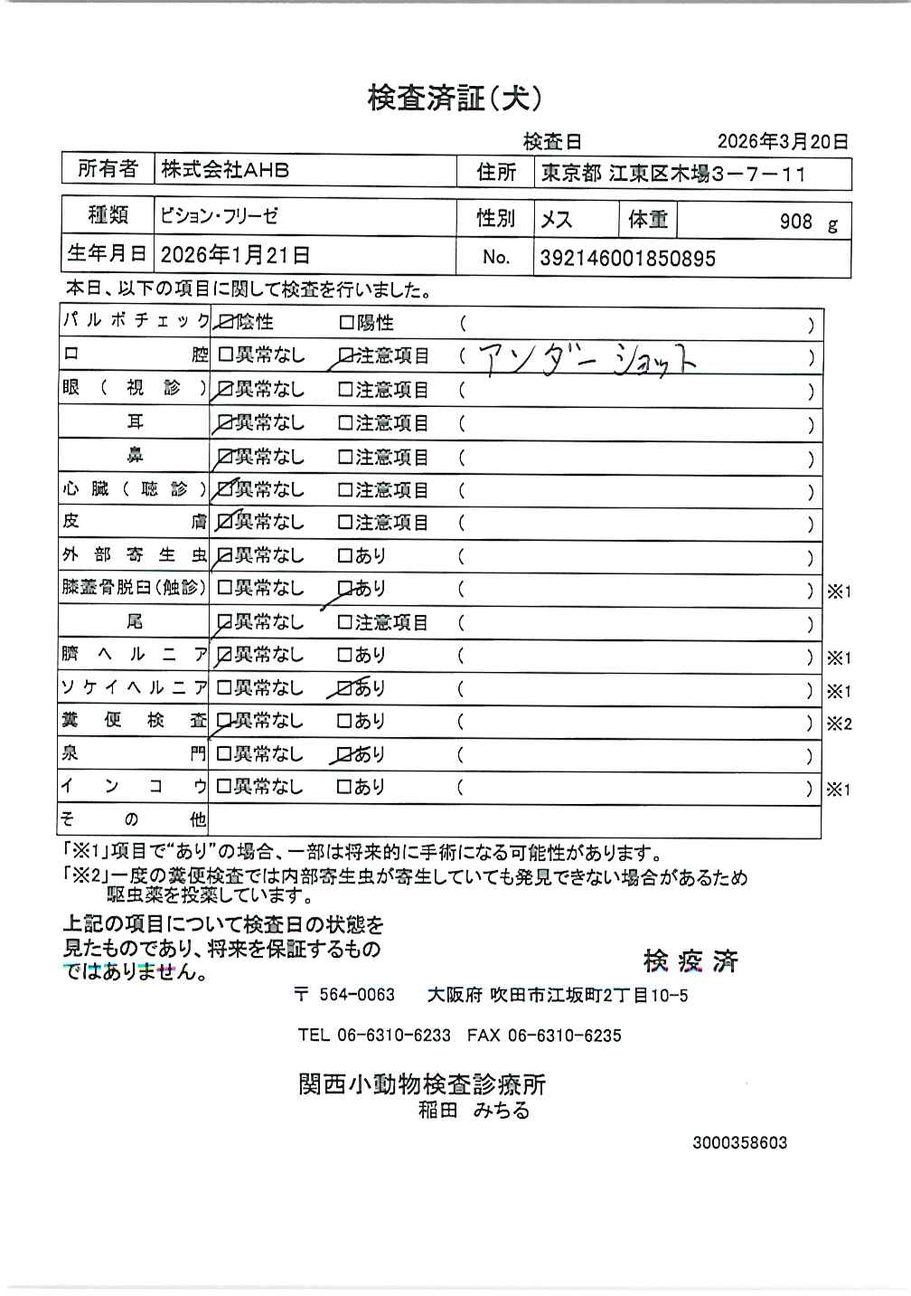 ビション・フリーゼ