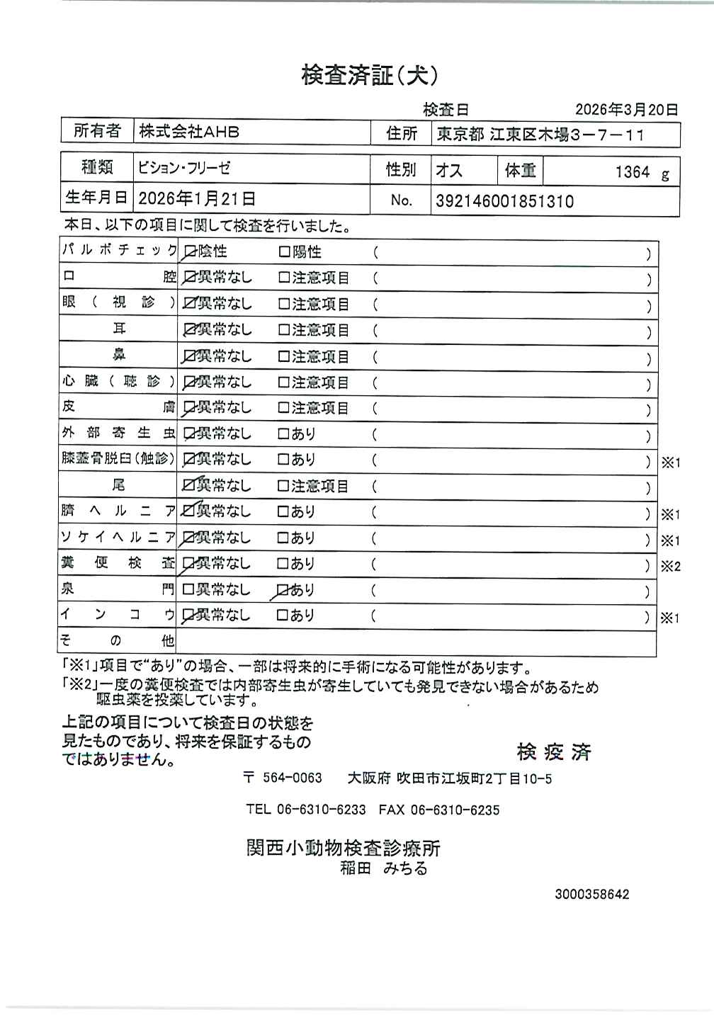 ビション・フリーゼ