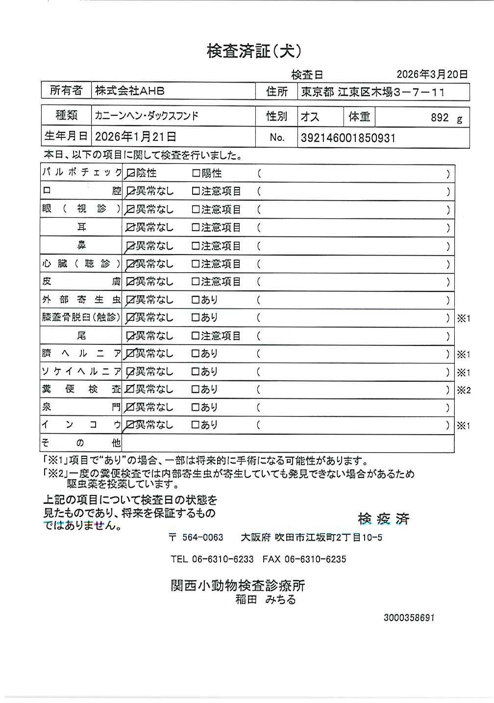 カニーンヘン・ダックスフンド