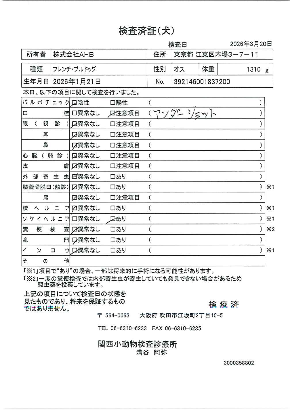 フレンチ・ブルドッグ