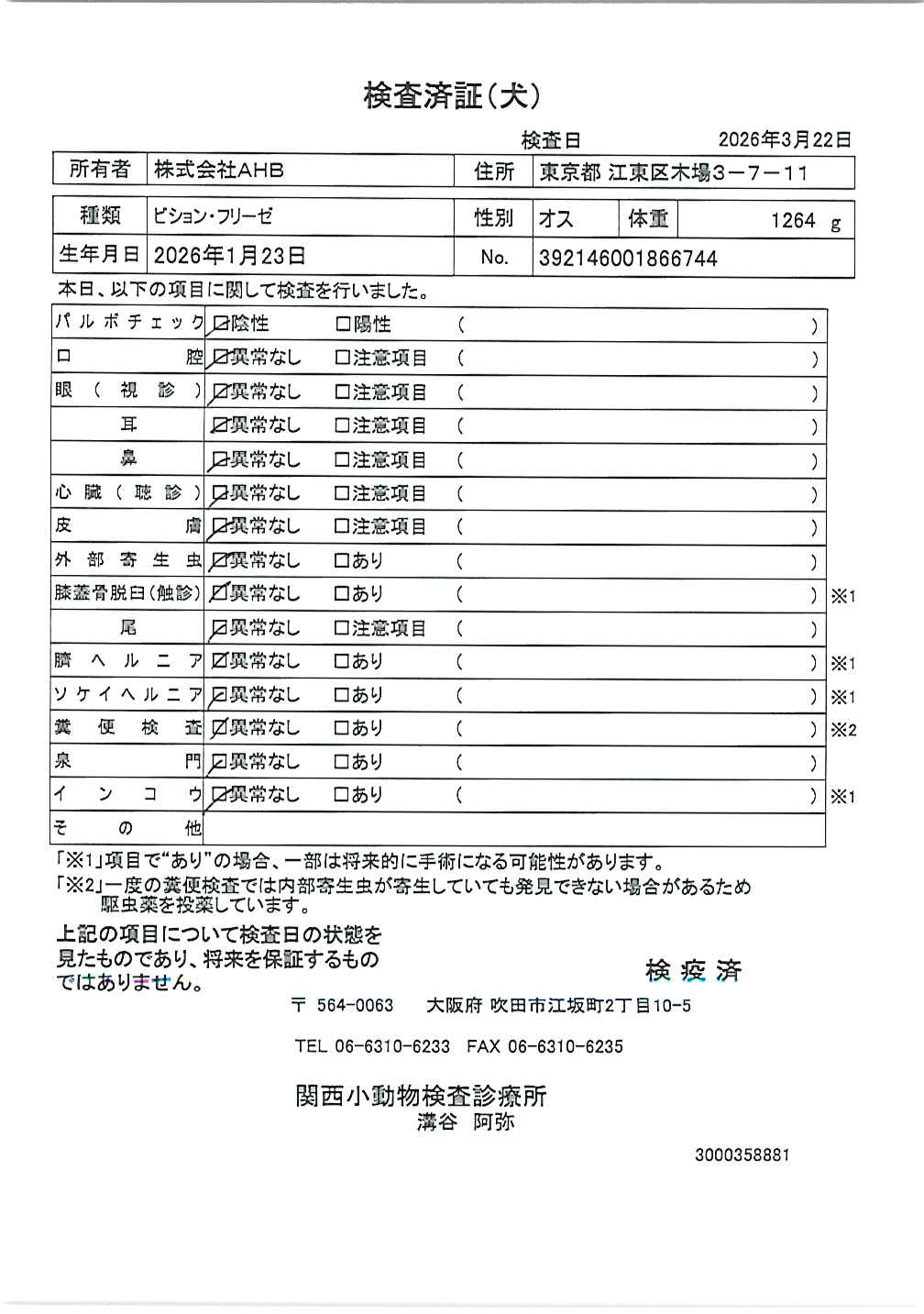 ビション・フリーゼ